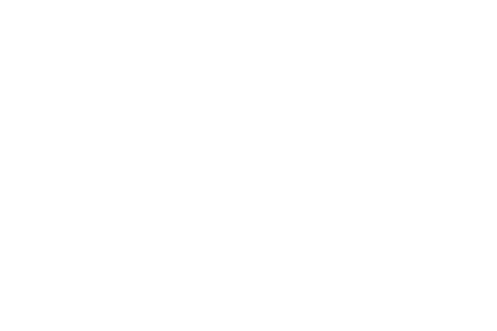 Vitality Institute